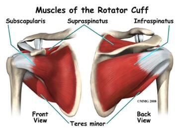 ROTATOR CUFF