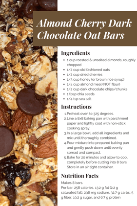 Dark Chocolate Almond Chia Cherry Bar (1)