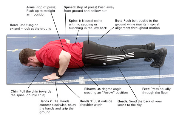 Back to Exercise Basics: The Proper Push-up