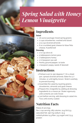 Spring Salad with Honey Lemon Vinaigrette