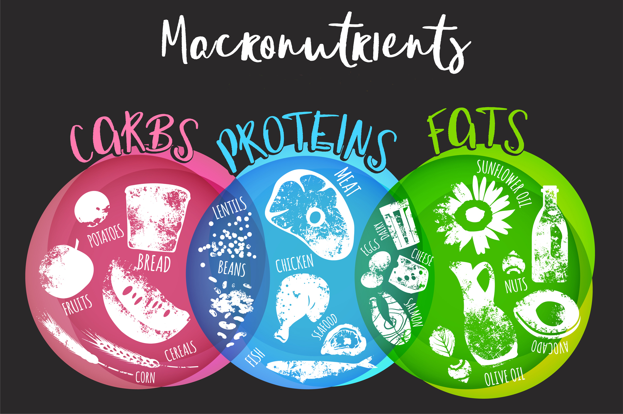 Macronutrients: The What, Why, and How of Tracking for Healthy Eating