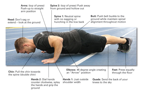 Back To Exercise Basics The Proper Push Up